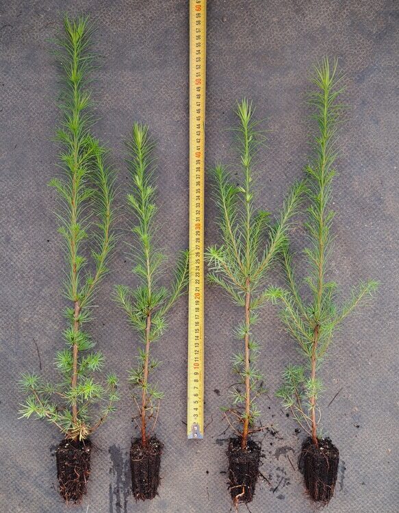 20230906 180023 orig