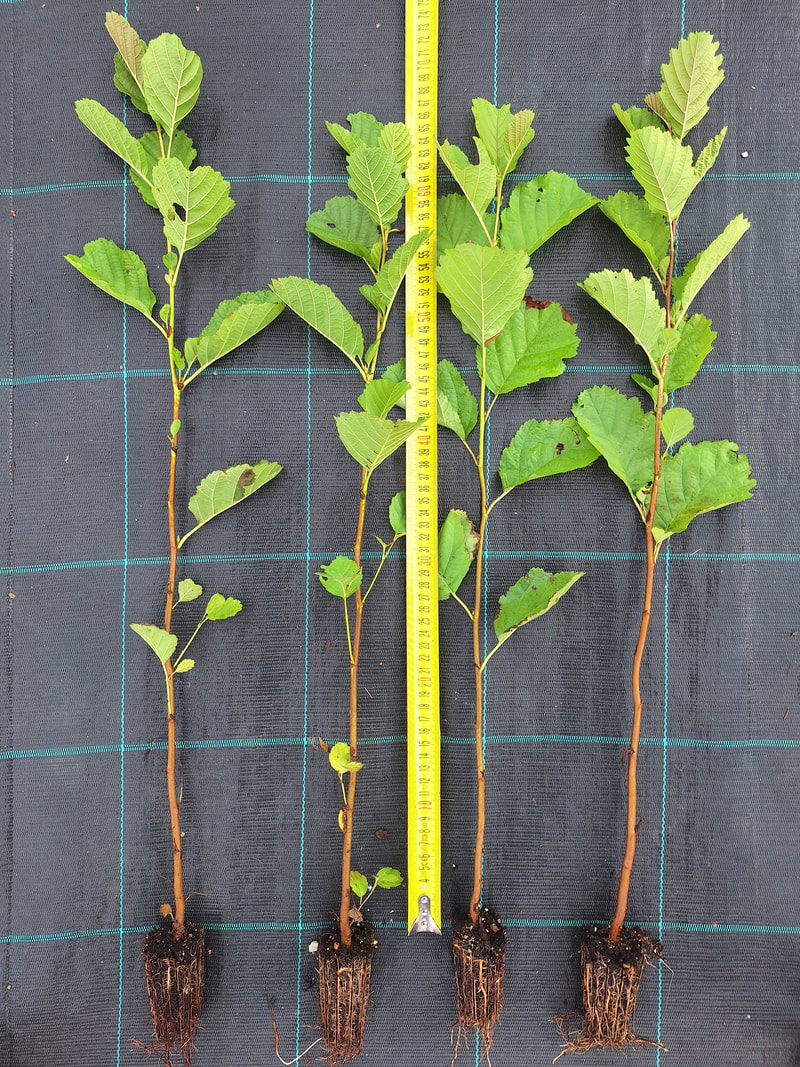 20240831 091204 orig